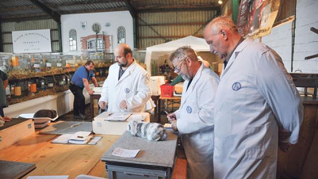 Zwölf Meister aus dem Rheiderland