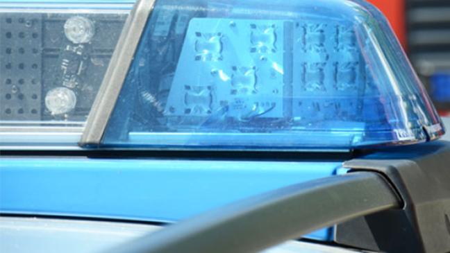 Reh auf Autobahn: Zwei Verletzte