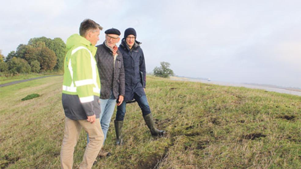 Erörtern den Mäusebefall: Thomas Schoneboom vom NLWKN, Oberdeichrichter Meint Hensmann und die Erste Kreisrätin Jenny Daun. © Foto: Berents