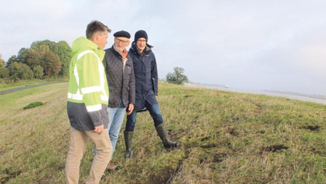 Deiche sind sicher für den Winter