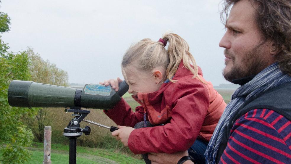 Auf der Lauer: Charlotte Clavee hält mit dem Fernglas Ausschau nach gefiederten Gästen an der Ems. Ihr Bekannter Michael Harren hilft dabei. Von einem sechs Meter hohen Aussichtsturm des NABU aus konnten Interessierte das Deichvorland von Midlum erkunden. © Hanken