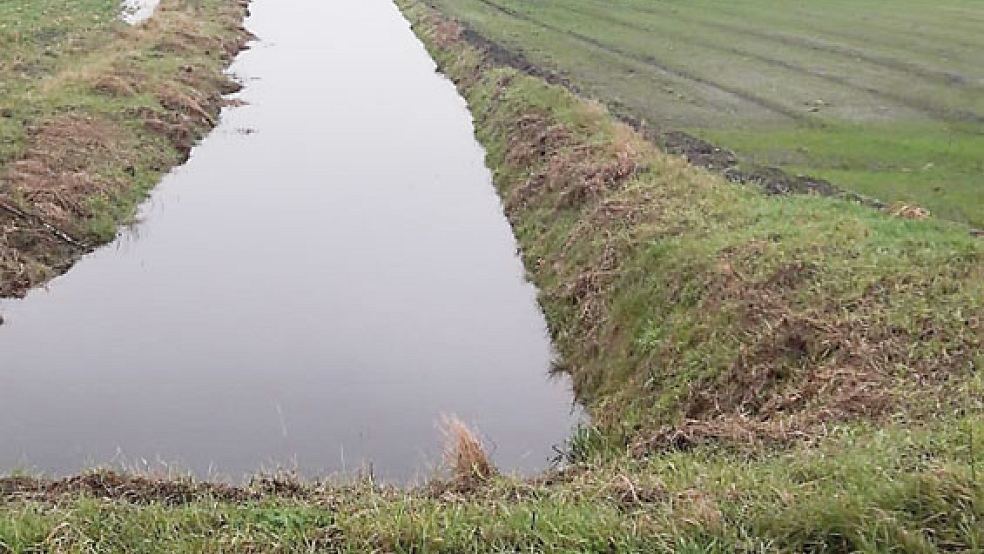 Zwei Extreme im Rheiderland: Gräben, die trockengelegt sind und Gräben, die zu viel Wasser führen. © Fotos: privat