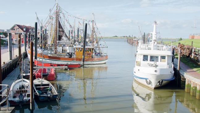 »Können nicht aus allen Orten ein Ditzum machen«