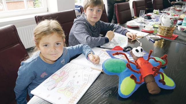 Erfolgsgeschichte eines Schmetterlings