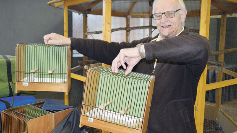 Jan Kloppenburg hat schon am Mittwoch insgesamt 14 Vögel in die Ausstellungshalle gebracht und hofft auf viele Punkte von den Preisrichtern. © Foto: Himstedt