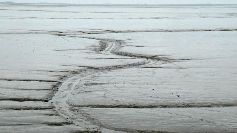 Vor der »Haustür« des Rheiderlandes liegt bei Dyksterhusen der Nationalpark Wattenmeer. © Archivfoto: Hanken