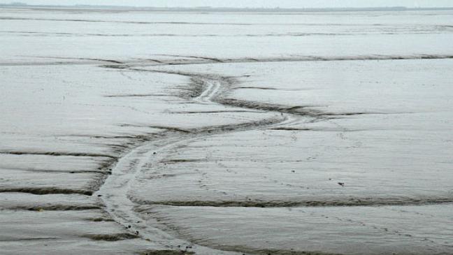 Wattenmeer-Partner peilen neue Projekte an