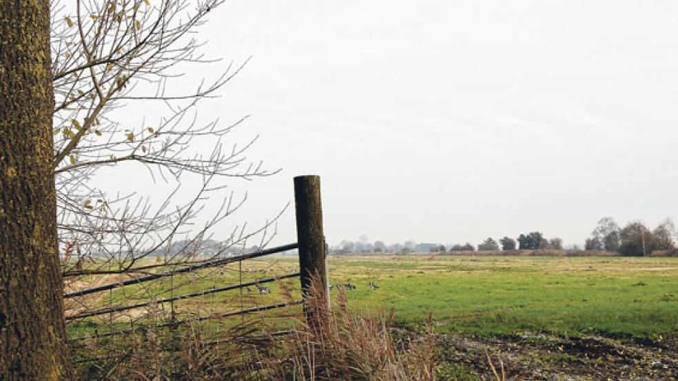 In Böhmerwold gibt es gerade noch vier Bauernhöfe, die das Land bewirtschaften. © Foto: Hoegen