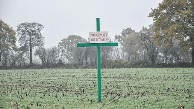 Grüne Kreuze stehen jetzt auch im Rheiderland