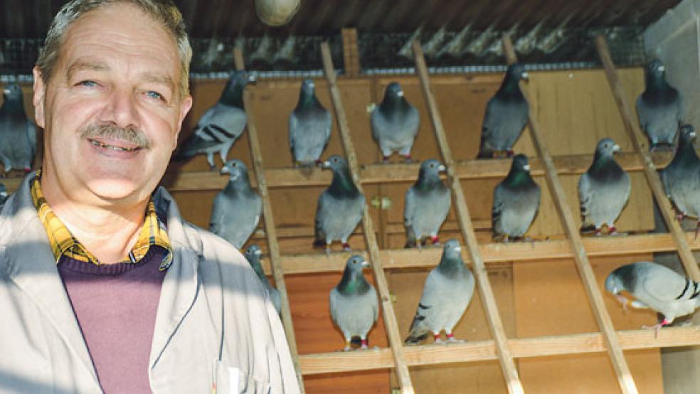 Johann Rumpf aus Holthuserheide ist mit seinen Brieftauben schon seit 1975 Mitglied in der Reisevereinigung Leer und Umgebung. © Foto: Himstedt