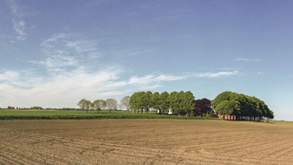 Die Kulturlandschaft Oldambt ist bekannt für ihren weiten Horizont, große landwirtschaftlich genutzte Flächen und dazugehörige stattliche Bauernhöfe. © Fotos: Kuper