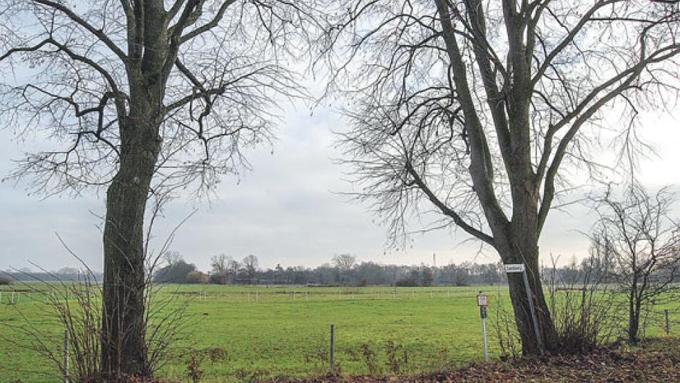 Aus Grünland wird Bauland. Im geplanten Neubaugebiet »Östlich Sandweg« sollen zwei Grundstücke erschlossen werden. © Foto: Hoegen