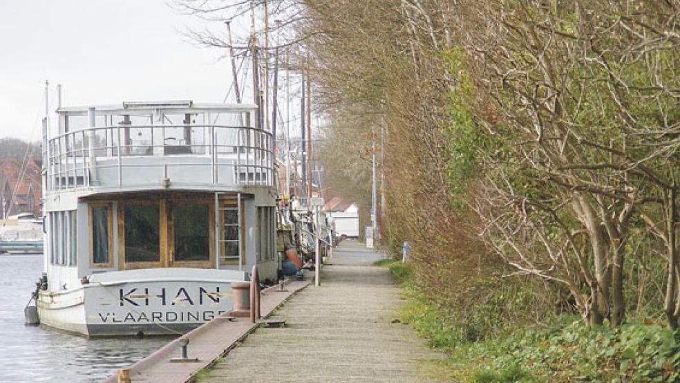 Die Baumreihe befindet sich neben einem Fußweg, der in Höhe der Papierfabrik Klingele an der Kaimauer des Alten Hafens in Weener verläuft. Dort liegt auch eine Erdgas-Transportleitung des Oldenburger Energieversorgers EWE. © Foto: Szyska