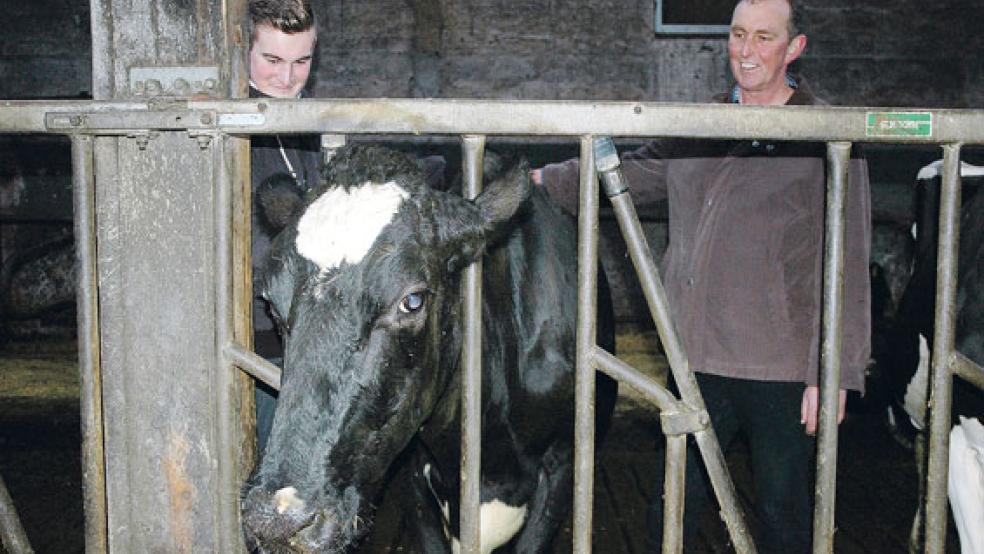 Mit Kuh »Cora«: Martin Schüür hilft Papa Reinhard auf dem Hof. Ob der Gymnasiast den Betrieb in Feerstenborgum mit 100 Milchkühen sowie 130 Tieren zur Nachzucht einmal übernehmen will, hängt auch von der Agrar-Politik ab. © Foto: Szyska