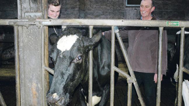 Rheiderland-Resolution zur Agrar-Politik