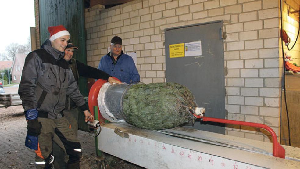 In Bunderhee läuft bei Wilko Sonnenberg, Harm-Jan Koets und Hans-Hermann Sonnenberg (von links) der Weihnachtsbaumverkauf auf Hochtouren.  © Fotos: Berents