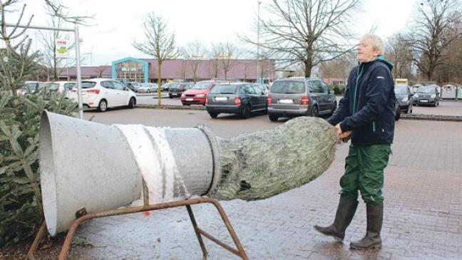 Tannengrün zum Weihnachtsfest