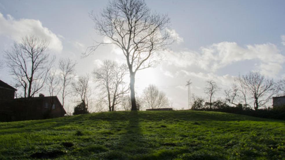 Ein Stück Rheiderland in Emden: Die Friedhofswarf von Nesserland ist alles was geblieben ist von dem Ort, der früher ein Teil des Rheiderlandes war und der durch eine Sturmflut der Region entrissen wurde. © Foto: Hanken