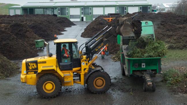 Weihnachtsbäume werden abgeholt