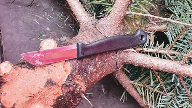 Fassungslosigkeit nach Messer-Anschlag
