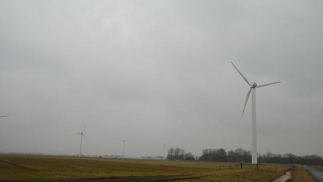 Windpark: Gericht will Sachverständigen