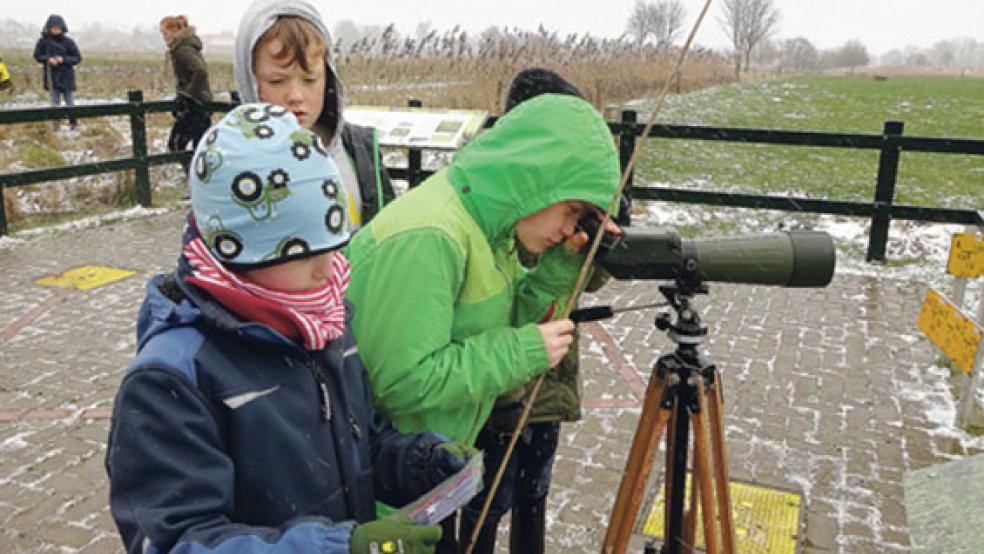 Kinder beobachten während Freizeit der Wildgänse mit dem Spektiv. Mitgeführte Steckbriefe helfen bei der Bestimmung der Arten. © Foto: NABU