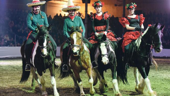 Gerittene Kühe, tanzende Pferde und rauchende Colts