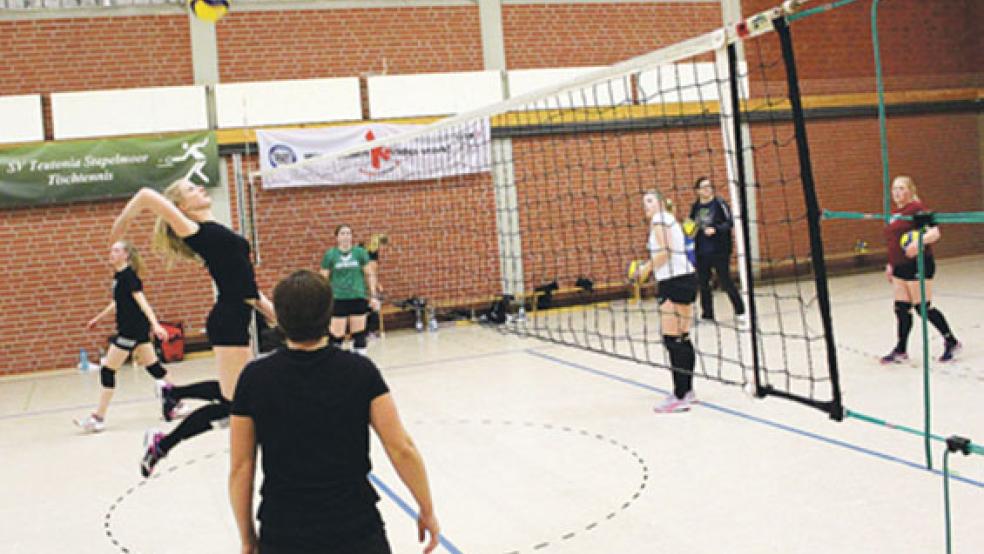 Die Stapelmoorer Volleyballerinnen wollen hoch hinaus. © Foto: Berents