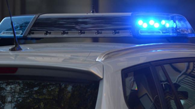 Polizisten durch Schläge und Tritte verletzt