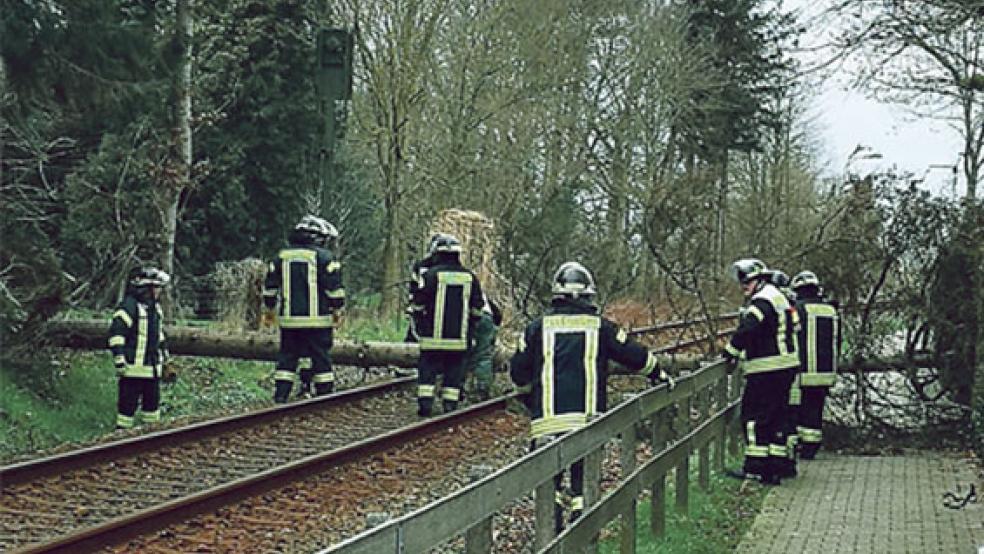 Auf den Bahngleisen in Bunde (Höhe Wiemannshof) war am Sonntag ein Baum gekracht und unterbrach die Zugverbindung vorübergehend. © Foto: Feuerwehr