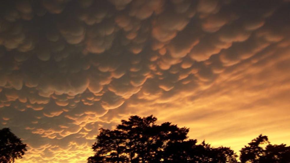 Nach Sturmtief »Sabine« gab es auch Falschmeldungen über Schulausfälle, davor warnt der Landkreis Leer. © Symbolfoto: Pixabay