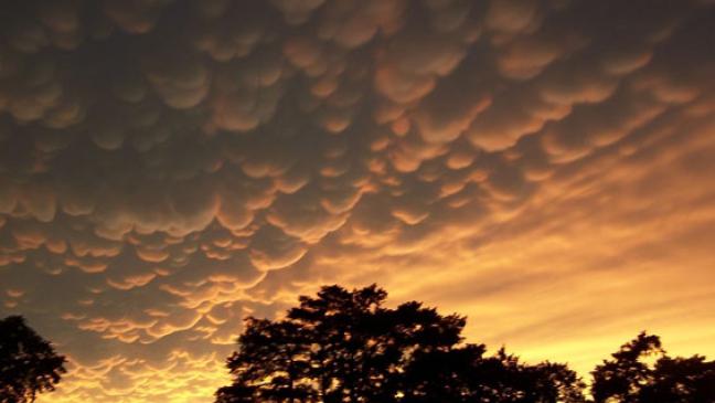 Falschmeldungen über Schulausfall