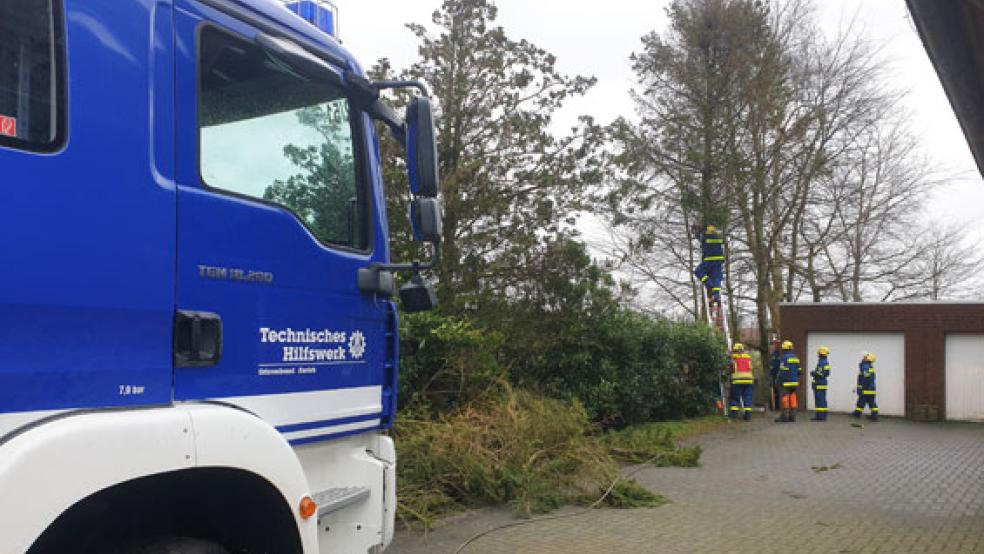 In Spetzerfehn drohte ein Baum auf ein Haus zu kippen. THW und Feuerwehr sicherten ihn. © Foto: Kreisfeuerwehr Aurich