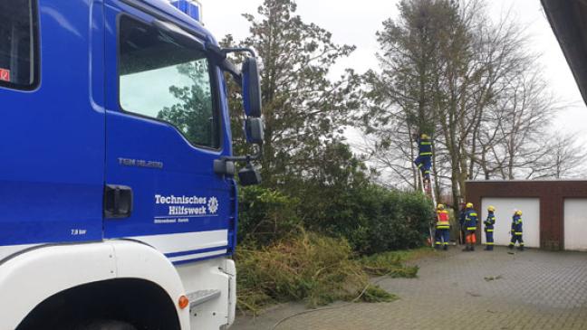 »Victoria« zeigte sich gnädig