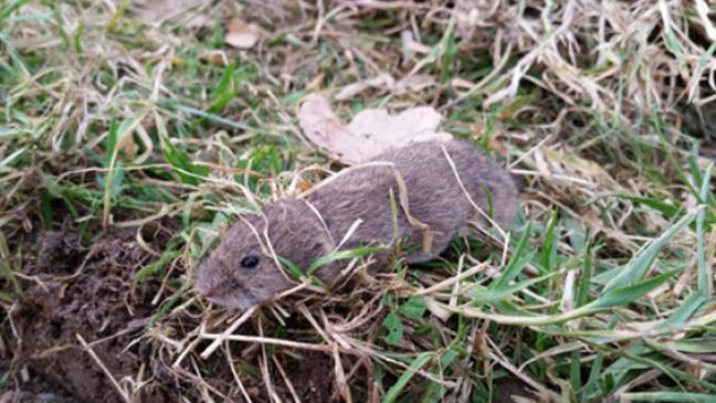 Ministerium greift Bauern unter die Arme