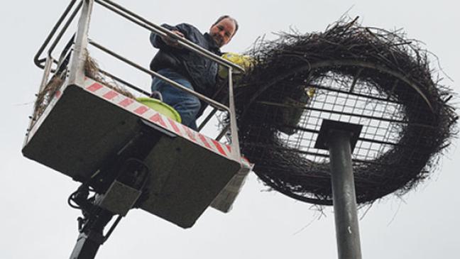 Gesucht: Ein Storch für die Kirchstraße