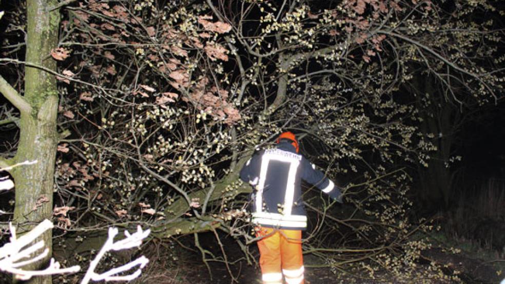 Die Feuerwehr Weener räumte in Kirchborgum eine blockierte Fahrbahn, ein Baum war umgestürzt. © Foto: Feuerwehr/Rand