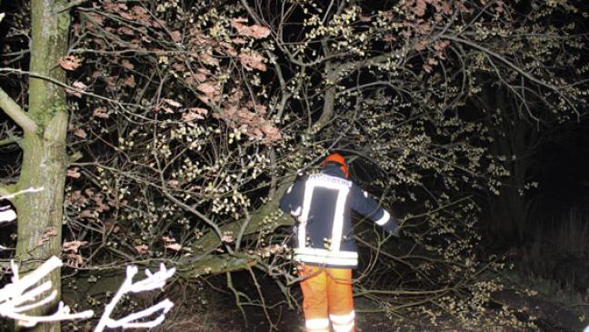 Baum blockiert die komplette Straße