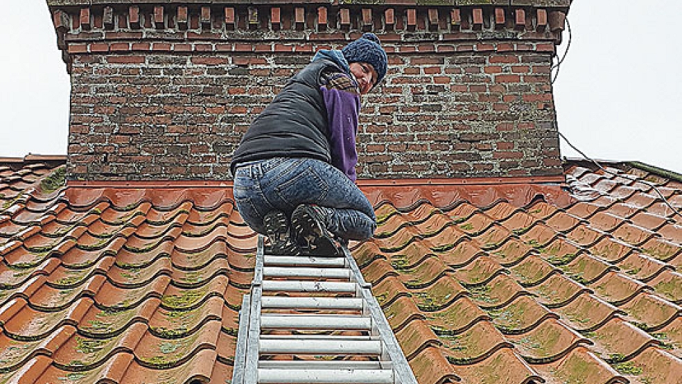 Hoch hinaus: Vorsitzende Carola Bergmans inspiziert das Dach der Ziegelei Midlum. © Fotos: Ziegeleiverein