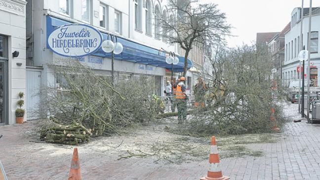 Bäume in der Fußgängerzone in Leer gefällt