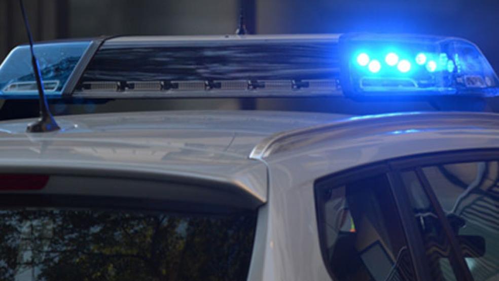 Bei einem Verkehrsunfall in Rhede sind heute Morgen zahlreiche Hühner ums Leben gekommen. © Foto: Pixabay