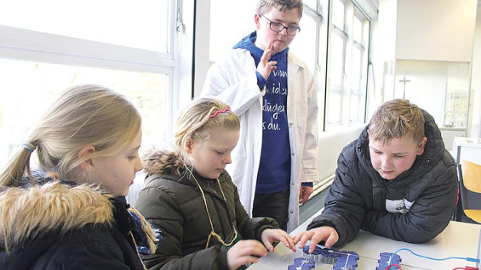 Bauten einen Stromkreis am Schnuppertag: Anneke, Jana (von links) und Max (rechts). Unterstützt wurden sie dabei von Yannick Harberg aus der neunten Klasse der Carl-Goerdeler-Schule. © Foto: Berents