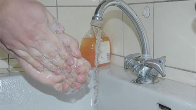 Viren-Schutz auf Vorrat