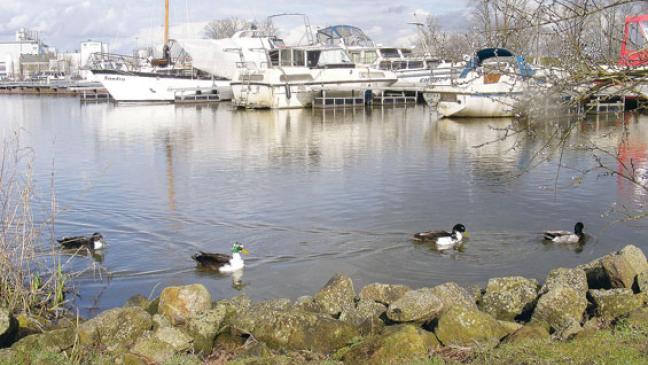 Einigung auf Pacht für Bootslager