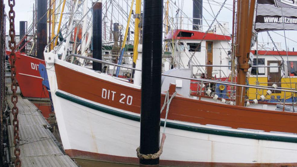 Für die Ditzumer Fischer war 2019 in wirtschaftlicher Hinsicht wenig erfreulich. © Foto: Szyska
