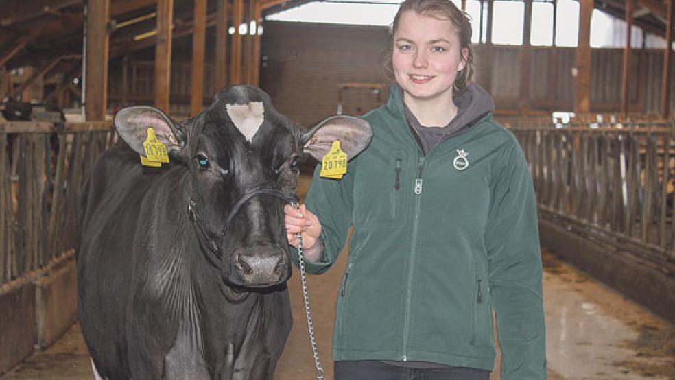 Tabea Cramer vom Hof der Familie Berends aus Bunderneuland tritt mit Rind Caty beim Jungzüchterwettbewerb in der Ostfrieslandhalle an. © Foto:Berents