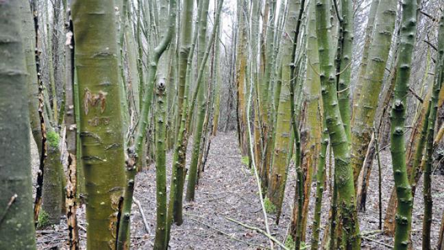 Gemeinsam an einen Tisch setzen
