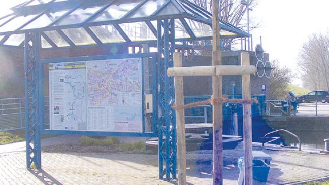 »Baum des Jahres 2020«