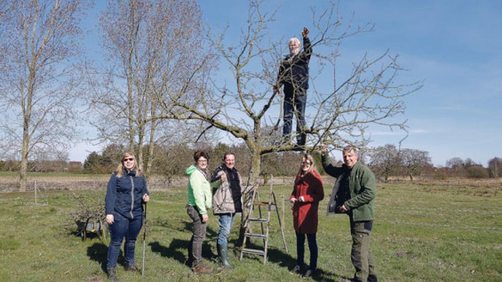 Als Vertreter des Evangelischen Bildungszentrums nahmen der Vorsitzende Wilfried Steenblock, Geschäftsführer Sören Petershans und der stellvertretende pädagogische Leiter Heinz Halfwassen die Auszeichnung von Karsten Behr entgegen. © Foto: Bildungszentrum