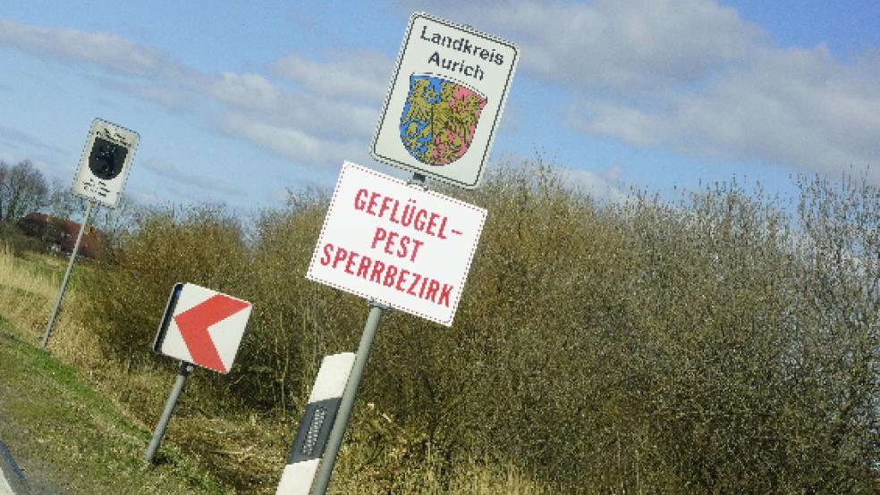 In Dornum ist ein Fall von Vogelgrippe bei Puten aufgetreten. © Holger Janssen